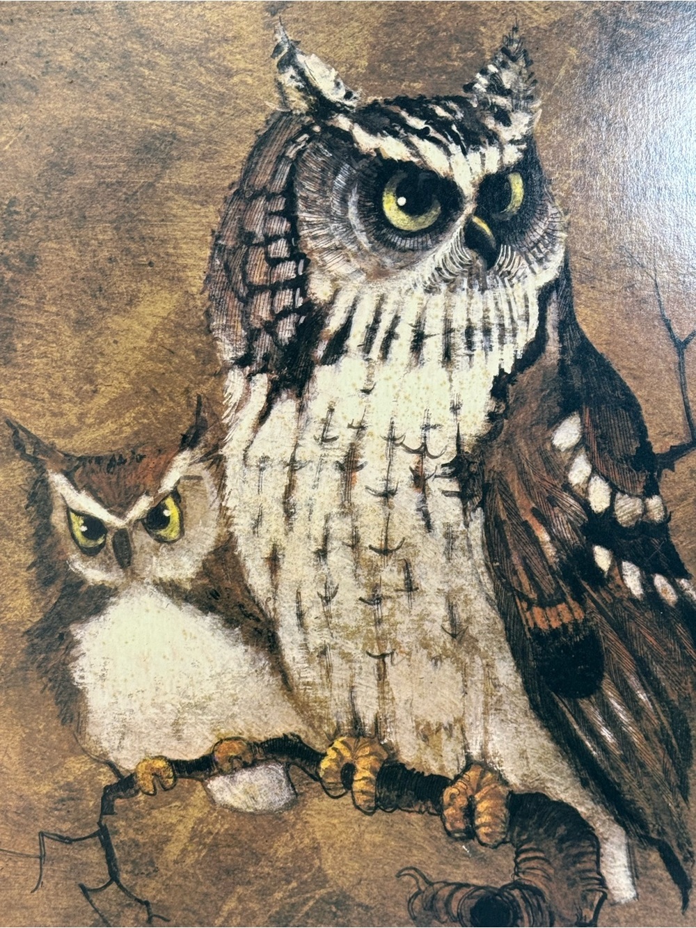 Vintage Richard Hinger “Screech Owls” 1970’s wood framed print. - Picture 2 of 13